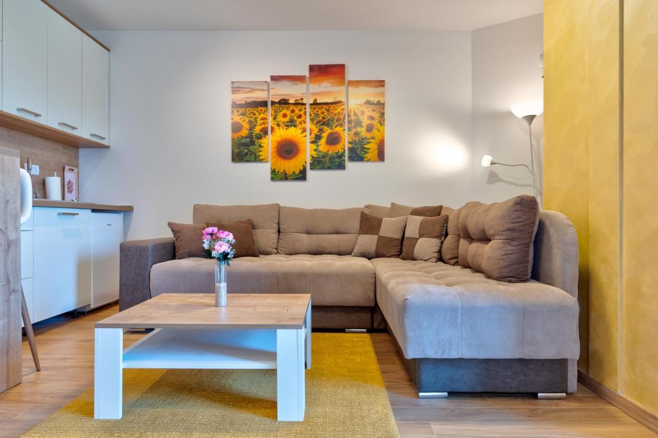 Apartment Avantura