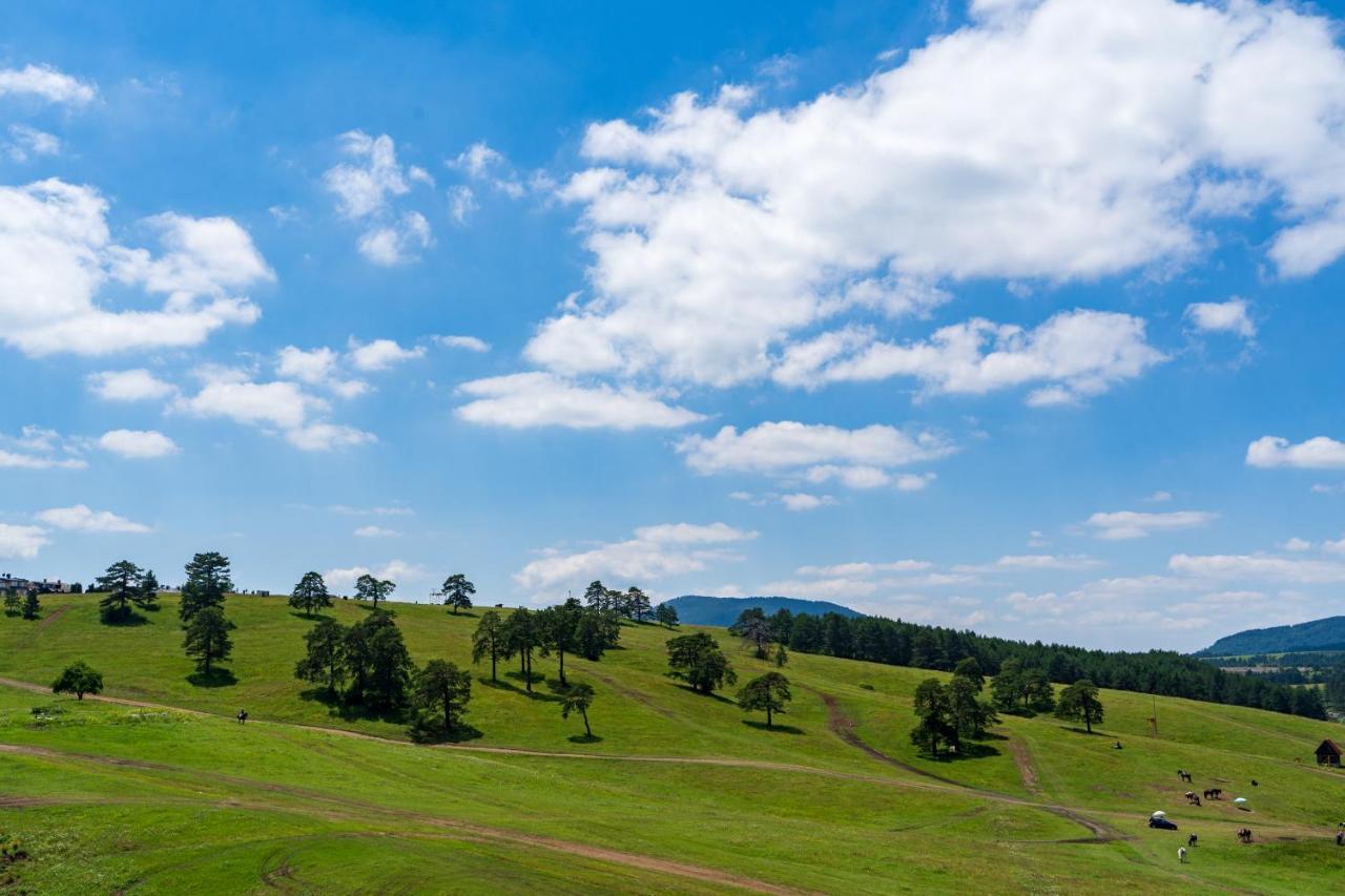 Apartment Avantura Zlatibor